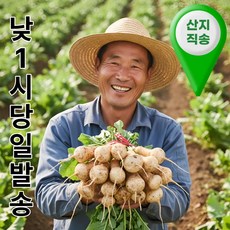 더맛곳간 국내산 알타리무 알타리무우 국산 총각무 총각무우 달랑무, 1개, 8kg 내외 (4단)