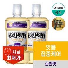 리스테린 검케어 마일드 구강청결제, 1L, 2개