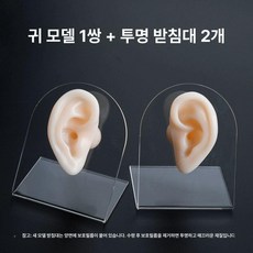 귀 모형 소품 전시용 왼쪽 연습용, 스탠드 2개 포함 한 쌍 귀, 1개, 기본 색상