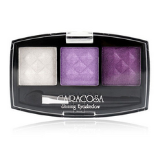 가루날림 보들보들 포인트컬러 아이섀도우키트 303호, 상세페이지 참조, 1개