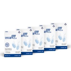 제일약품 덴트쿨맥스 60정 X 5개 / 틀니세정제 의치세정제, 60개입