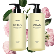 여성 샴푸 1 위 향기좋은샴푸 여성 탈모 샴푸 1위 탈모기능성 약산성 맥주효모 샴푸 구매1위 민감성 두피 페르니 샴푸 보리스, 2개, 500ml