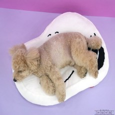 라담상점 패리스독 스누피 베드방석 펫쿠션