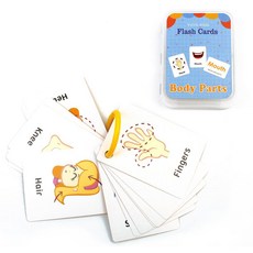 7세 영어 표현카드 신체 명칭 그림 낱말카드 학습교구 두뇌활동 어린이집, 1개