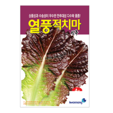 적치마 상추 씨앗 치마상추 종자 열풍적치마 상추 4g 권농종묘 쌈용 쌈채소 깻잎 로메인, 1개
