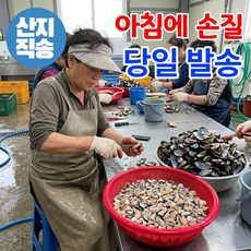 어부의뜰 국산 깐 홍합살 생물 생홍합살 손질 홍합 당일손질 국내산, 1개, 900g