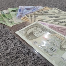 지폐 동전 수집 홀더 100매 pvc 보관 앨범 화폐 정리함, 지폐홀더 BL08996