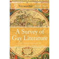 (英文圖書)A Survey of Gay Literature 平裝版, Watersgreen, 英文