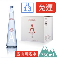 S.S 箱購安地斯山氣泡天然雪山泉水750mL x 13入 - ANDES MOUNTAIN WATER, 1個, 天然山泉氣泡水750ml,整箱13瓶 宅配免運