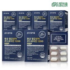 드림이음 황금 철갑상어 콘드로이친 1200 MBP 6형 철갑상어연골 6개월분, 6개, 60정