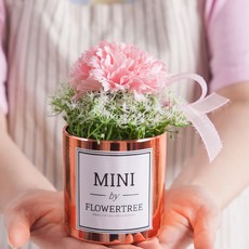 카네이션 조화 화분 하프set 20cm 4컬러 꽃 어버이날 스승의날 테이블 장식 감사 선물 행사 소품, 레드, 1개