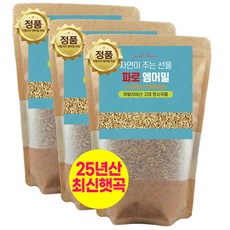 에코홀릭 파로 엠머밀 100% 이탈리아 파로곡물 파로쌀, 3개, 1kg