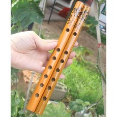 중국 악기 퉁소 연주 단소 쇠퉁소 초보 목관 산조대, 1개, 24cm 정교한 오렌지