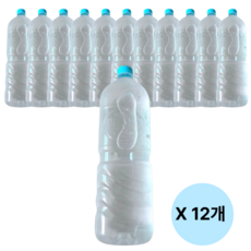 농심 백산수 유/무라벨 랜덤, 12개, 2L