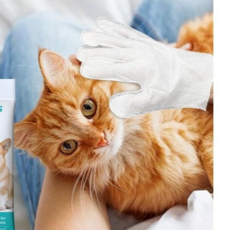 chako 씻기싫어 고양이 세척 장갑 클리닝 프리미엄 물티슈, 그린