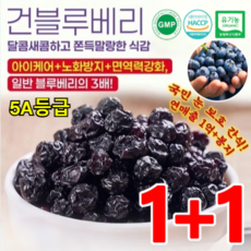 1+1 무설탕 블루베리 건과일 건조 블루베리 1kg 무설탕 건조블루베리 100%, 100g*2개