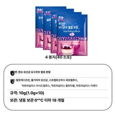 그릭 요구르트 제조기 유청 분리기 발효 용기 요거트, 천슈 요거트 박테리아 4팩 40개, 기본 색상