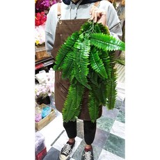 長版玉羊齒垂葉仿真垂藤壁掛裝飾，台灣現貨速發，人造花仿真植物創意垂葉壁掛, 1個