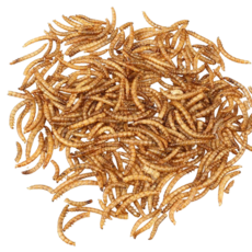 내츄럴한 진공 건조 밀웜 리필, 100g, 1개