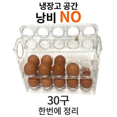범용상사 자동오픈 계란트레이 냉장고 계란정리함 에그 자동 플립 계란 보관함, 투명, 1개