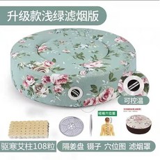 【】艾灸蒲團坐墊坐灸儀美容院熏蒸儀器艾灸盒隨身灸家用臀部艾炙器具 8HJZ, 大號控溫清新綠+驅寒108艾柱五件套, 1個