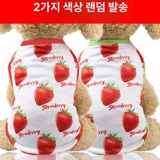 반려동물 과일 바나나 디자인 강아지 고양이 의류, XL 가슴둘레 50CM 추천체중 4.25-6kg, 1개, 베스트 브라이트 레드 스트로베리