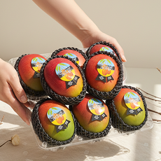 [망고성지] 항공직송 고당도 애플망고 선물세트 당도선별, 1박스, 항공직송 애플망고 8-9과 (3.2KG내외)