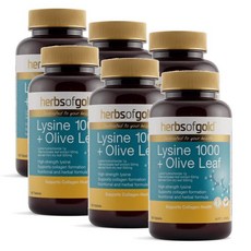허브 오브 골드 라이신 1000 + 올리브잎 추출물 Herbs of Gold Lysine + Olive Leaf, 6개, 100정
