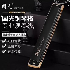 國光單音口琴銅格版24孔C調，初學者專業演奏級樂器, 1個, B調+300首曲譜