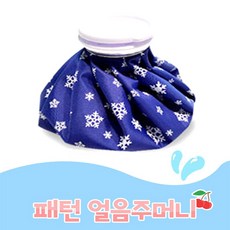 프리미엄 냉 찜질주머니 아이스팩 9인치, 눈꽃블루, 1개