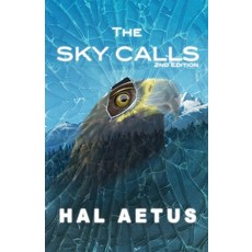 (영문도서) The Sky Calls Paperback, Aetus Art, English, 9798989825219