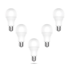 우리조명 컨버터내장형 LED램프 10W E26 5p, 주광, 5개