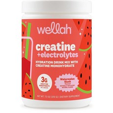 Wellah 크레아틴 + 하이드레이션 파우더 (수박 슬러시) 30회 분량 - 크레아틴 모노하이드레이트 3g 함유 전해질 음료, Wellah 크레아틴 + 하이드레이션 파우더 (수박 슬, 1개, 210g