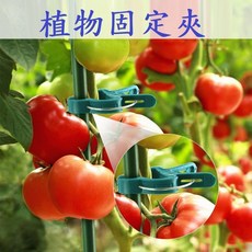植物固定夾 番茄瓜果嫁接夾 - 多功能綁枝藤蔓幼苗夾 蘭花水果蔬菜園藝支撐, 1個, 魚夾,大號
