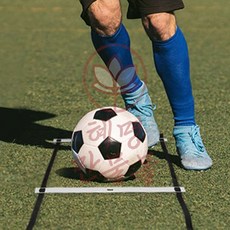 훈련 연습용 사다리 8m 혜명마트 운동용사다리 민첩성훈련 축구용품 휴대용사다리 축구사다리
