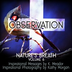 (영문도서) Nature's Breath: Observation: Volume 6 Paperback, Createspace Independent Pub..., English, 9781726263450