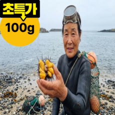 [당일조업 구룡포 산지직송] 프리미엄 국산 우니 성게알 자연산, 1개, 100g