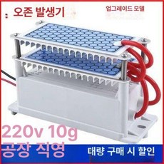 차량용 오존 발생기 공기청정기 청정기 휴대용 생성기, 10g(업그레이드), 기본 모델명/품번