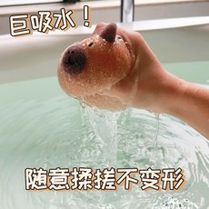 HH 可愛水豚君沐浴球 卡皮巴拉沐浴棉 嬰幼兒泡澡海綿 搓澡球, 1個, 卡皮巴拉搓澡海綿2只