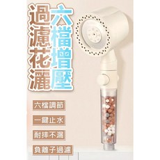 六檔增壓過濾花灑 一鍵止水負離子淨化, 1個