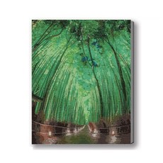 MANTO 台灣製造 大尺寸DIY數字油畫 40X50cm 釘好內框 日本花海歐洲風景 初學者專用, 嵐山花燈, 1套