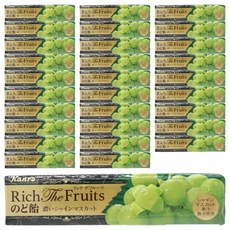 칸로 리치 더 프루트 목캔디 진한 머스캣 스틱 타입 11개입, 42.9g, 30개