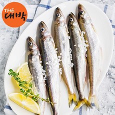 더대박 제철별미 시사모(열빙어), 1팩, 시사모/열빙어(급냉) 600g