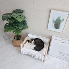 털쟁이 연구소 솔솔침대 (고양이 소형견용 사이즈 M), 1개, 소나무 ,삼나무 원목