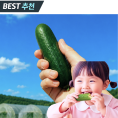 [한정세일] 국내산 미니오이 스낵오이, 1박스, 2kg