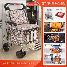 장바구니유모차 캠핑의자 핸드카트 어르신 걸음보조기 그린 실버그레이 오렌지, 9. 럭셔리확장좌석모델 플래티넘 캔버스