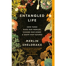 (영문도서) Entangled Life: How Fungi Make Our Worlds Change Our Minds & Shape Our Futures Paperback, Random House Trade, English, 9780525510321