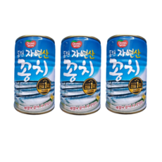 동원 자연산꽁치, 9개, 300g