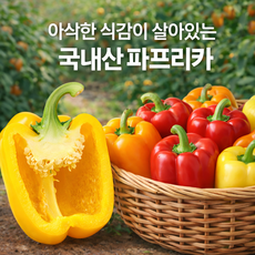 팜온네이처 국내산 파프리카 컬러파프리카 피망 혼합 신선채소 파푸리카, 1박스, 파프리카 1.5kg