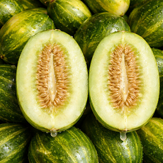 [특가100박스] 고당도 파파야 개구리참외 메론, 1박스, 1kg